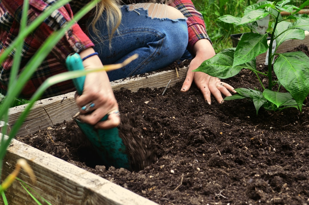 DIY Self-Watering Planters Made from Plastic Bottles
