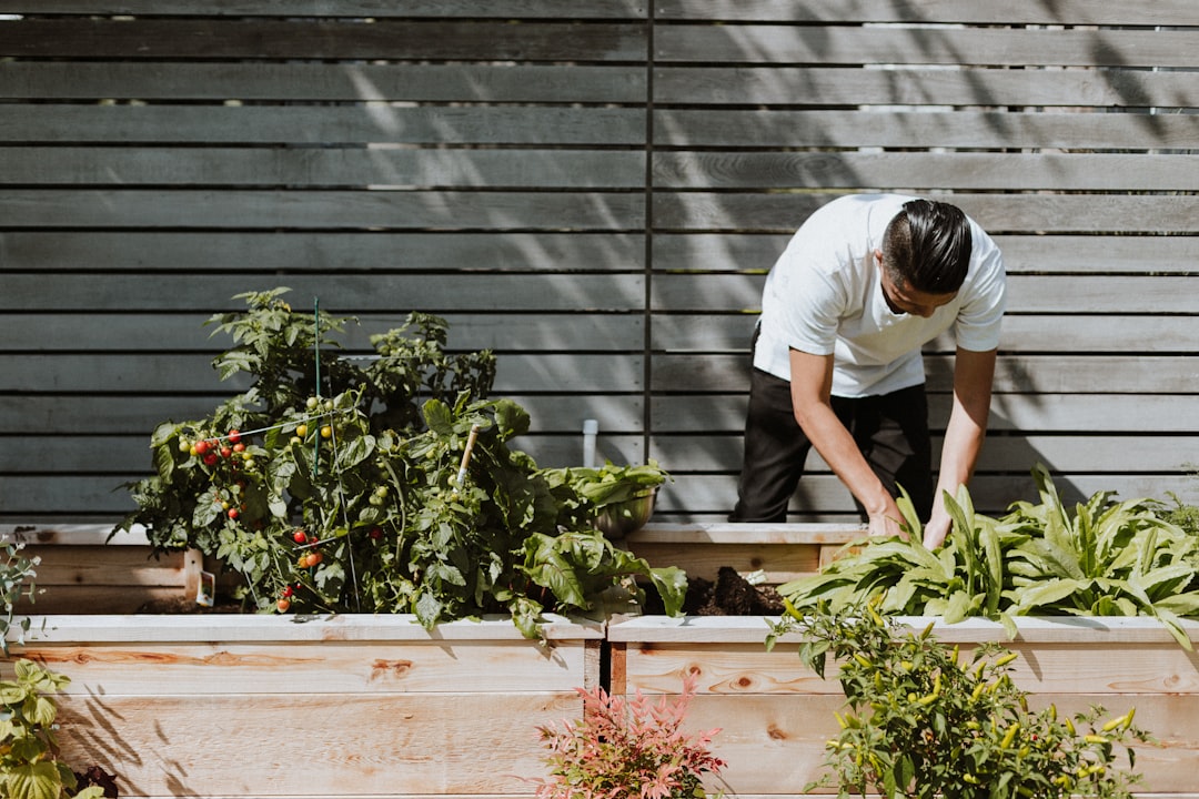 How to Attract Pollinators to a Small Urban Garden