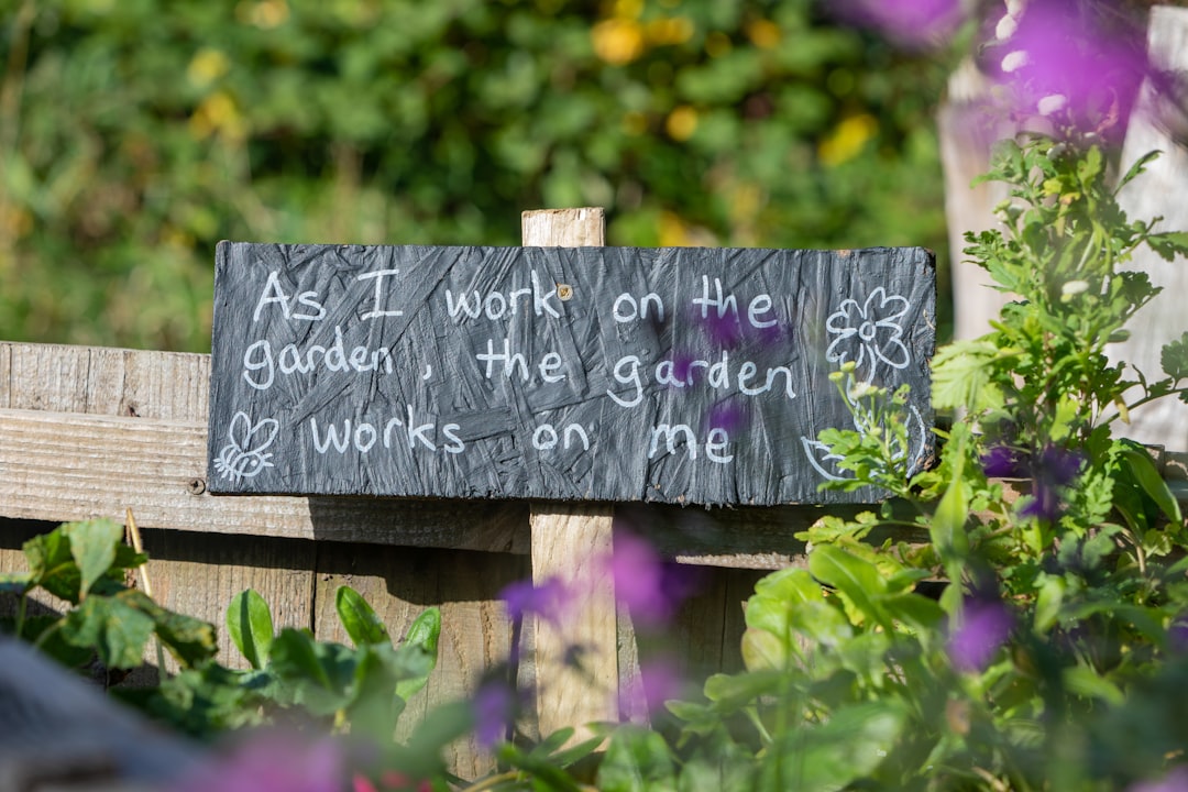 How to Build a Cold Frame from Old Windows to Extend Your Growing Season
