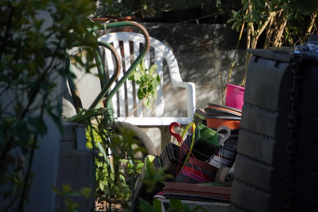 How to Make Compost Tea to Feed Your Plants