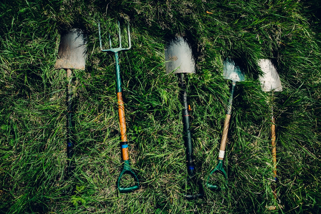 How to Test and Adjust Your Garden Soil pH at Home