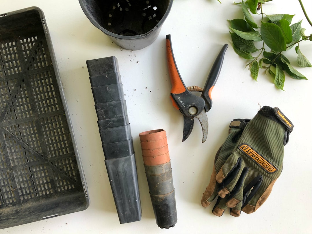 How to Winterize Your Garden Before the First Frost