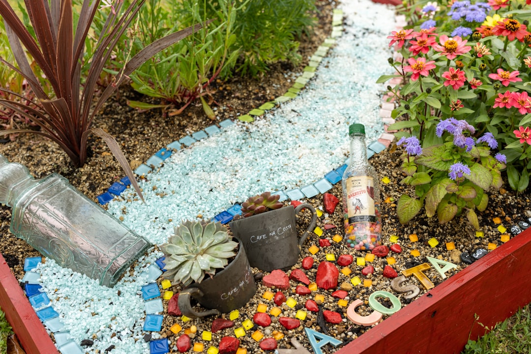 a garden filled with lots of flowers and plants