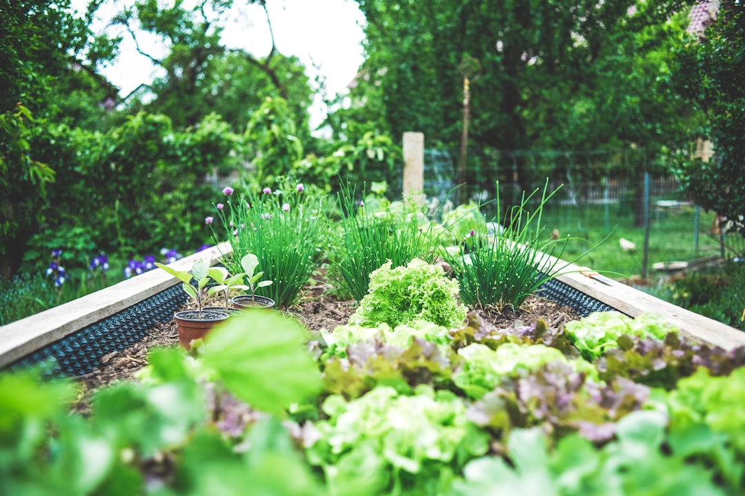 What Is No-Dig Gardening and Why It Works